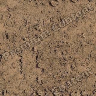 High Resolution Seamless Waterplants Texture 0001